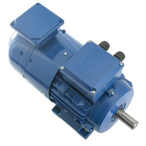 INVERTER DUTY MOTOR